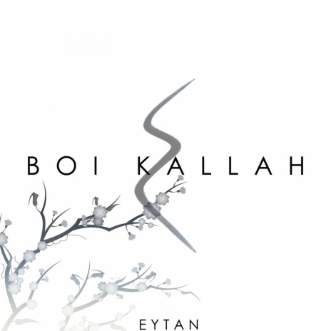 Boi Kallah | Boomplay Music