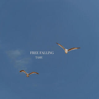 Free Falling