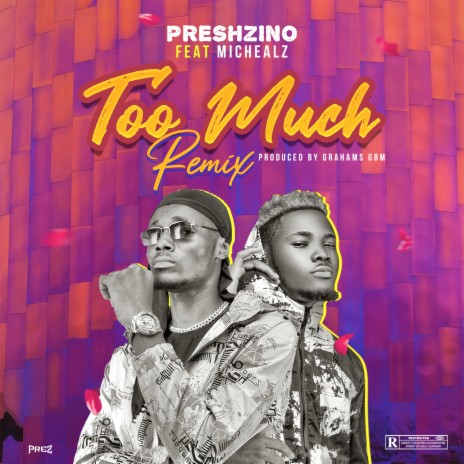 Too Much (Remix) ft. Michealz | Boomplay Music