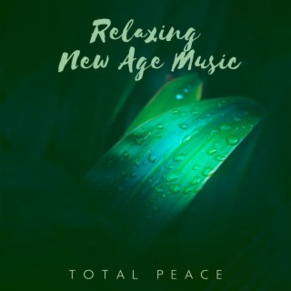 Relaxing New Age Music: Total Peace of Mind. Clear Nature Sounds for Stress Relief