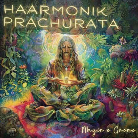 Haarmonik Prachurata | Boomplay Music