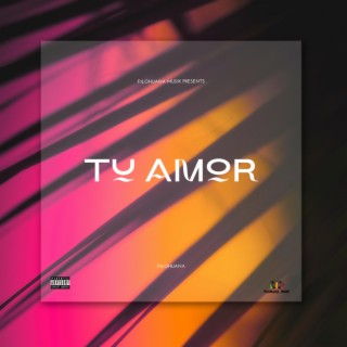 Tu Amor lyrics | Boomplay Music