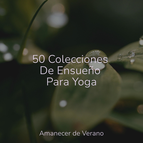 Serenidad Estelar de Soliloquio ft. Meditation Relaxation Club & Musica para Bebes | Boomplay Music