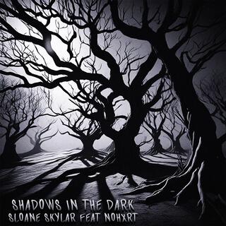 Shadows In The Dark ft. NOHXRT lyrics | Boomplay Music