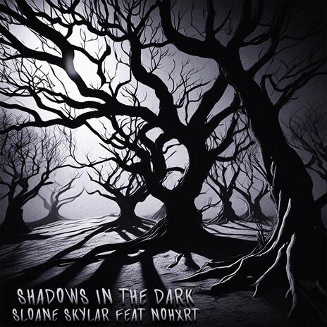 Shadows In The Dark ft. NOHXRT | Boomplay Music