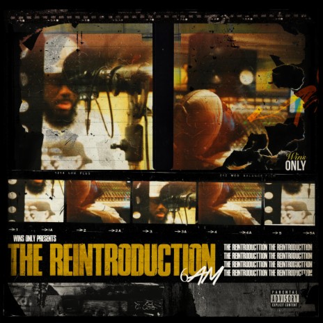 The Re-Introduction | Boomplay Music