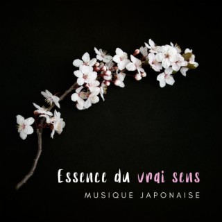 Essence du vrai sens: Musique japonaise instrumentale pour la méditation profonde, Organiser un jardin zen, Trouver le vrai soi
