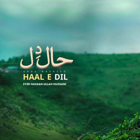 Haal e Dil | Boomplay Music