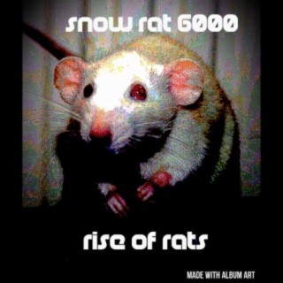 Rise of rats