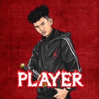 Player lyrics | Boomplay Music