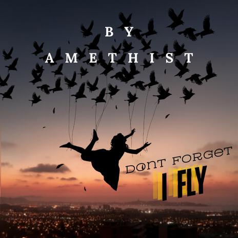 Dont Forget I Fly | Boomplay Music