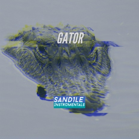 Gator | Boomplay Music