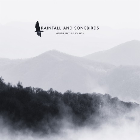 Rainfall Therapy | Boomplay Music