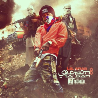 Section 8 Taliban