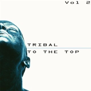 Tribal to the Top, Vol. 2 - Tribal for Every Mood