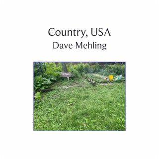 Dave Mehling