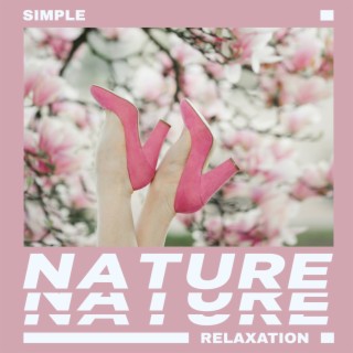 Simple Nature Relaxation (Restful Sounds of Water, Wind, Birds, Forest, Crickets)