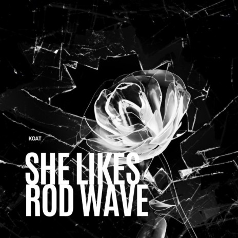 She Likes Rod Wave | Boomplay Music