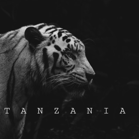 TANZANIA | Boomplay Music