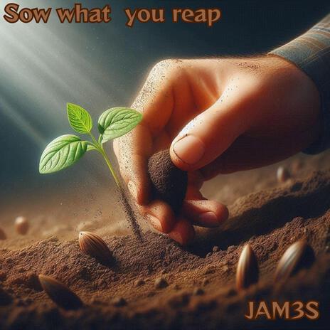 Sow What You Reap | Boomplay Music