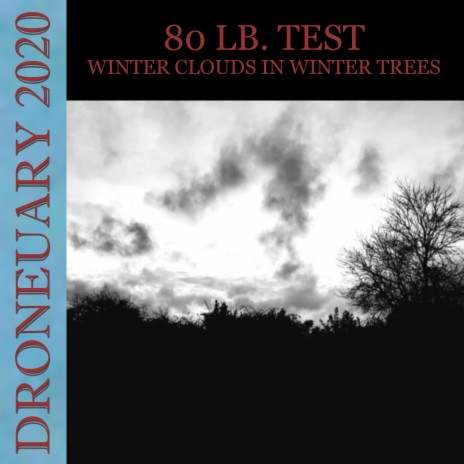 Winter Clouds in Winter Trees | Boomplay Music