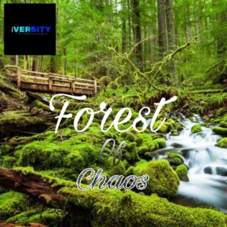 Forest of Chaos