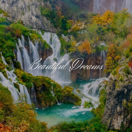 Beautiful Dreams | Boomplay Music