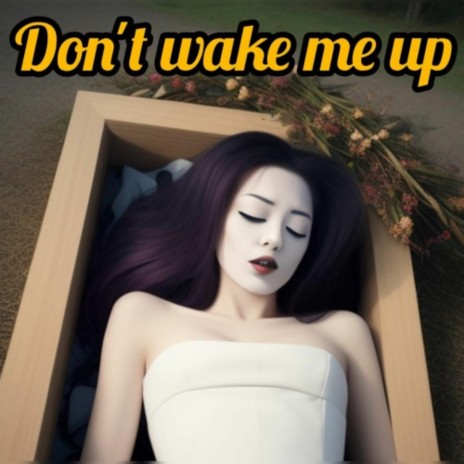 dont wake me up | Boomplay Music