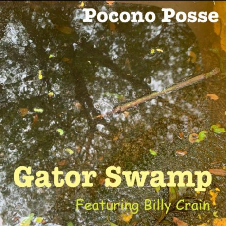 Gator Swamp ft. Billy Crain | Boomplay Music