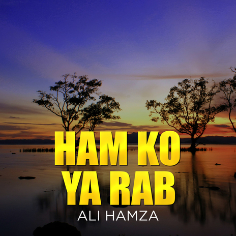 Ham Ko Ya Rab | Boomplay Music