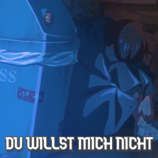 DU WILLST MICH NICHT lyrics | Boomplay Music