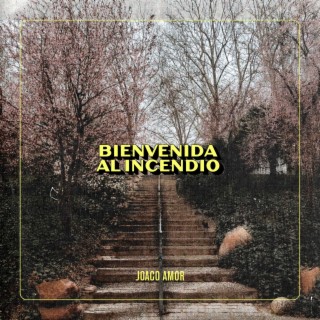 Bienvenida Al Incendio lyrics | Boomplay Music