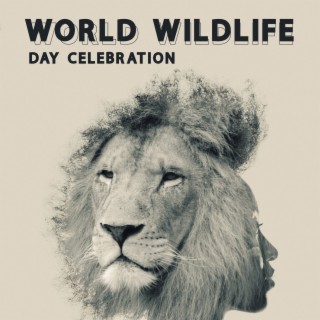 World Wildlife Day Celebration: Nature Music Collection, Feel Closer to Nature, Beautiful Nature