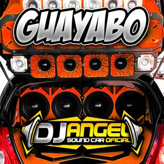 Guayabo (Car Audio)