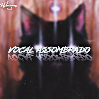 MONTAGEM VOCAL ASSOMBRADO