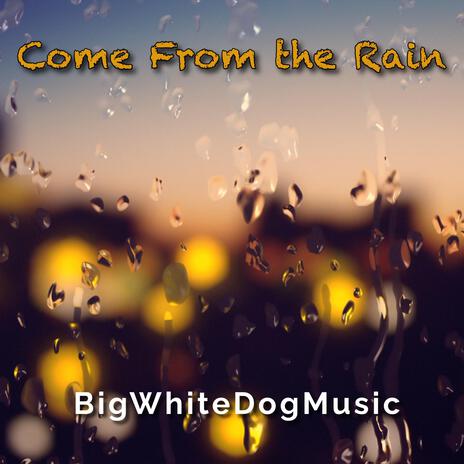 Come From the Rain | Boomplay Music