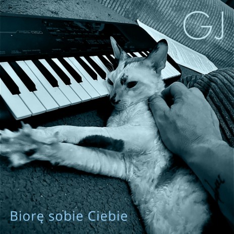 Biorę sobie Ciebie | Boomplay Music