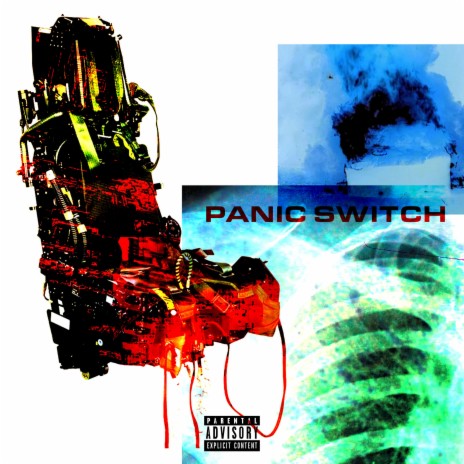 Panic Switch | Boomplay Music