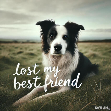 Lost my Best Friend | Boomplay Music