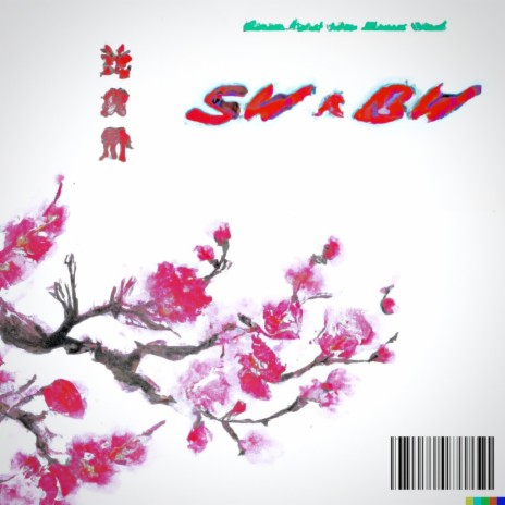 S.M.B.W | Boomplay Music