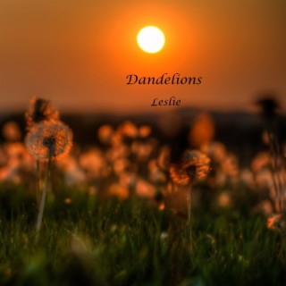 Dandelions lyrics | Boomplay Music