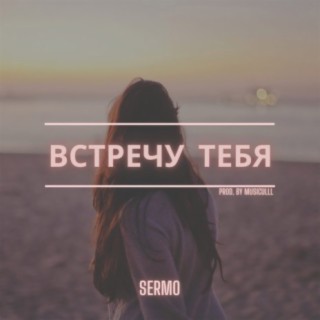 Встречу тебя