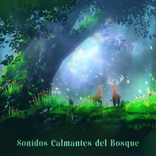 Sonidos Calmantes del Bosque: Canciones de Cuna de la Naturaleza para Bebés