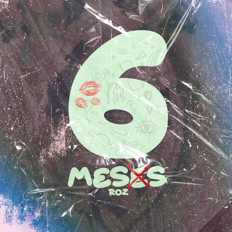 6 MESES | Boomplay Music