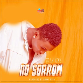 No sorrow lyrics | Boomplay Music