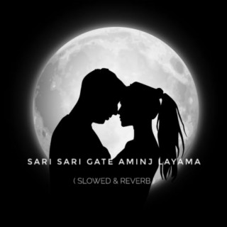 Sari Sari Gate Aminj Layama (Slowed & Reverb)