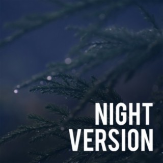 Night Version
