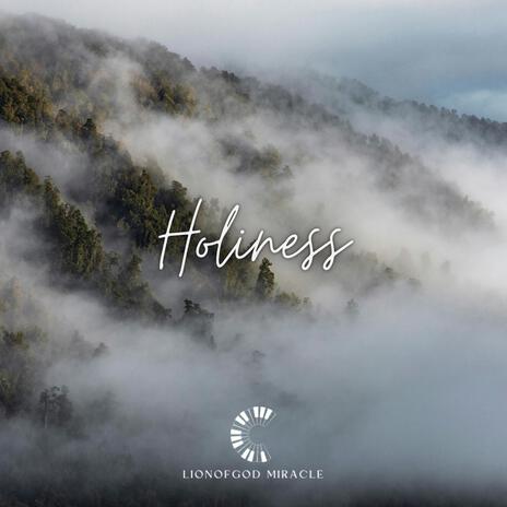 Holiness | Boomplay Music