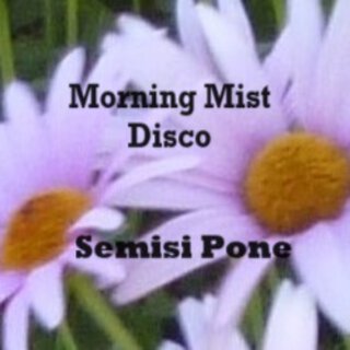 Morning Mist Disco