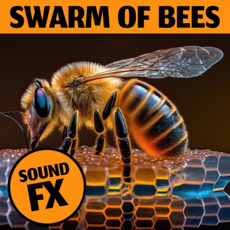 Swarm Of Bees Swarming ft. Sound FX Pro & Animal Sound Effects | Boomplay Music